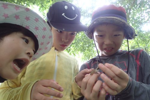 認定NPO法人しずおか環境教育研究会【エコエデュ】