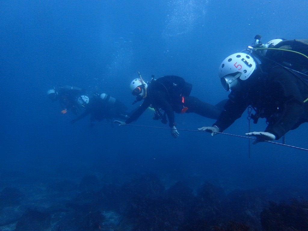 認定NPO法人アンダーウオータースキルアップアカデミー