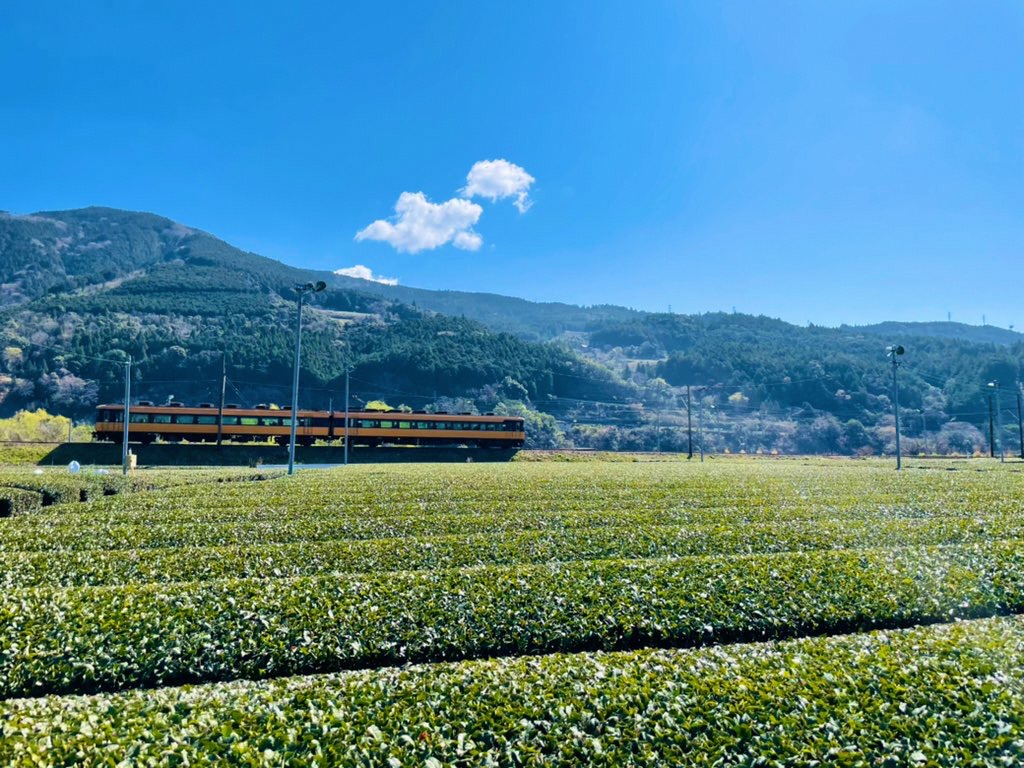 無人駅の先のワンダーランドへ！アート作品で見慣れた景色が多彩に変化する24日間！