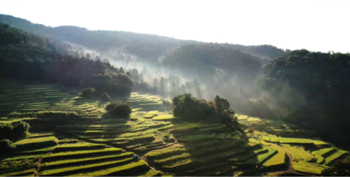 久留女木竜宮小僧の会