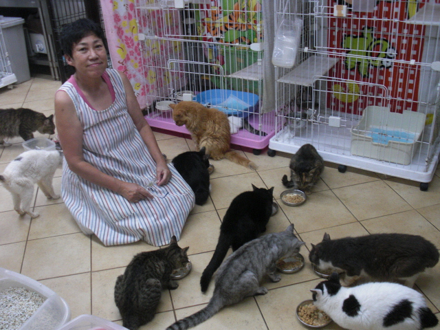 特定非営利活動法人 捨て猫をなくす会